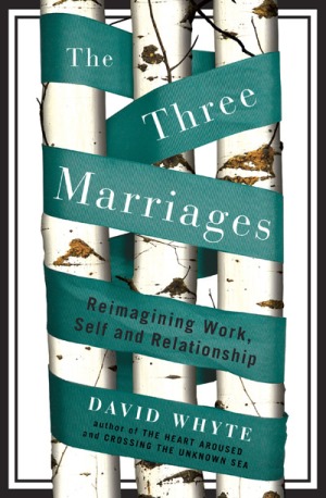 The Three Marriages book cover