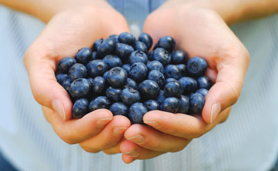 blueberries in cupped hands